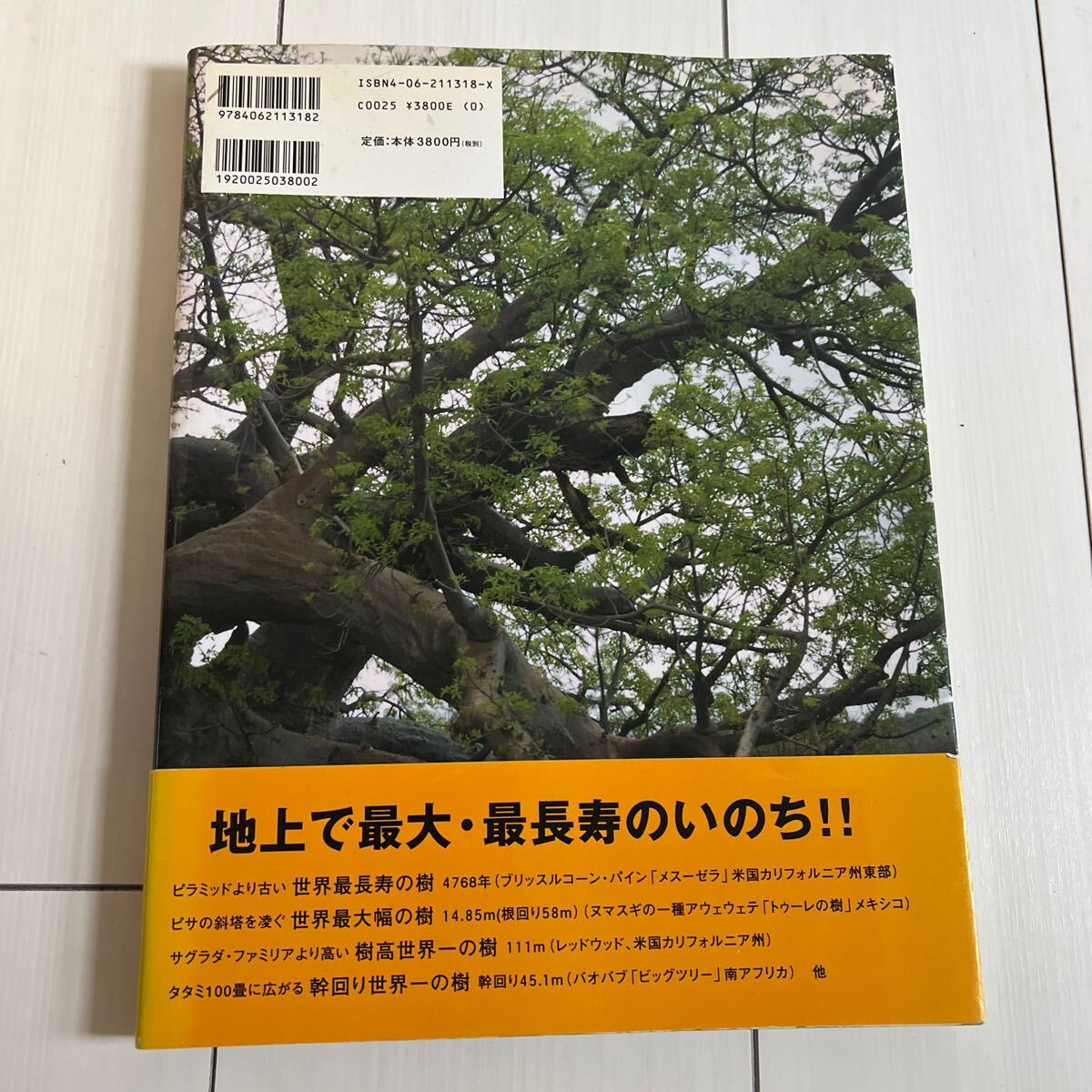 5/2-3 地球遺産　最後の巨樹　　定価3800円　吉田繁/蟹江節子　講談社　地上で最大　最長寿のいのち　本　雑誌　自然　写真_画像3