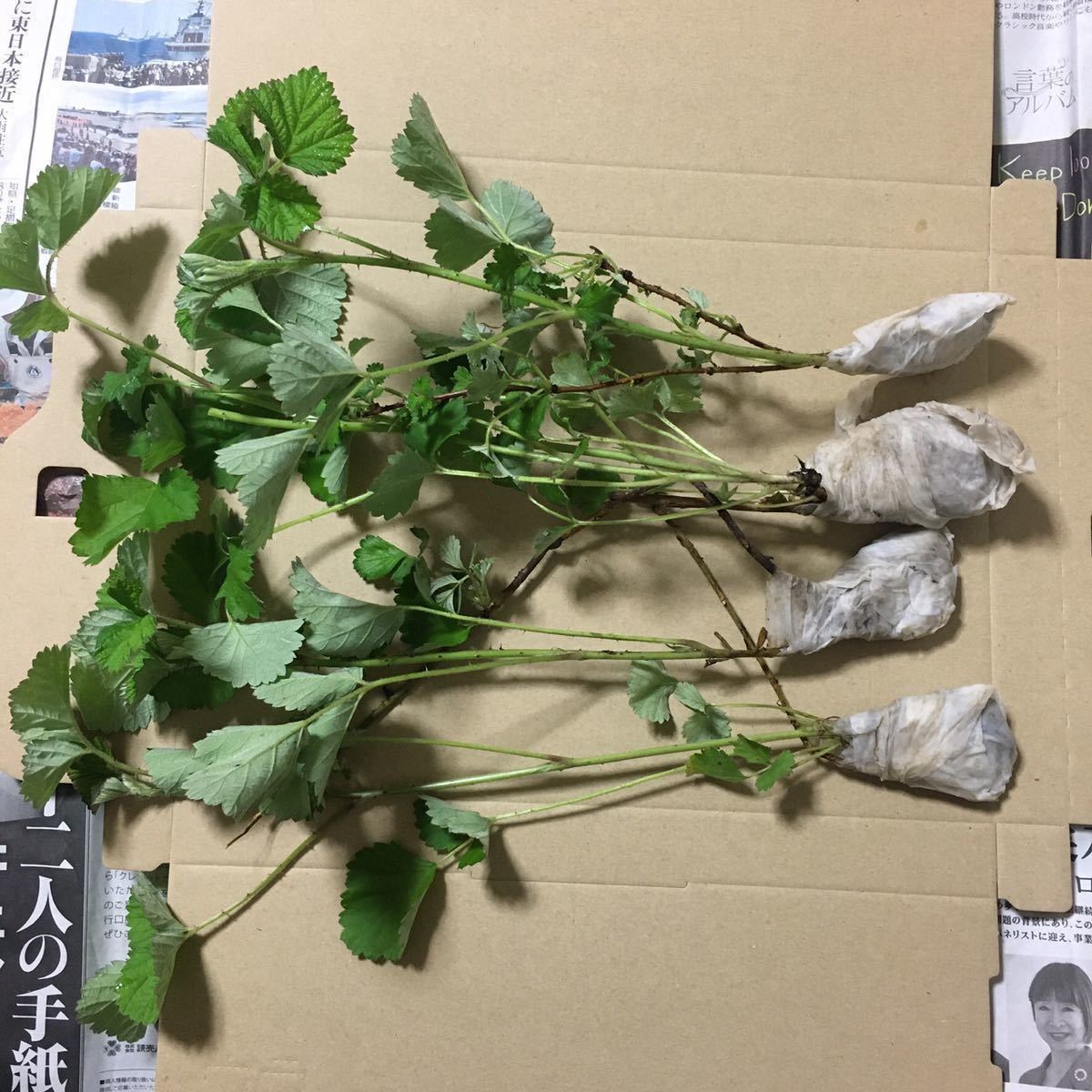 item_image_5