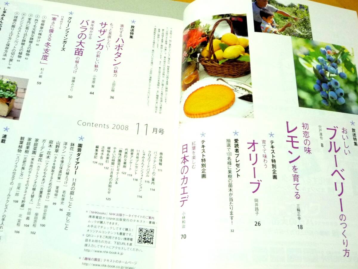 趣味の園芸 2008年11月号 おいしいブルーベリーのつくり方 レモン オリーブ ハボタン サザンカ バラ カエデ　NHKテレビテキスト_画像7