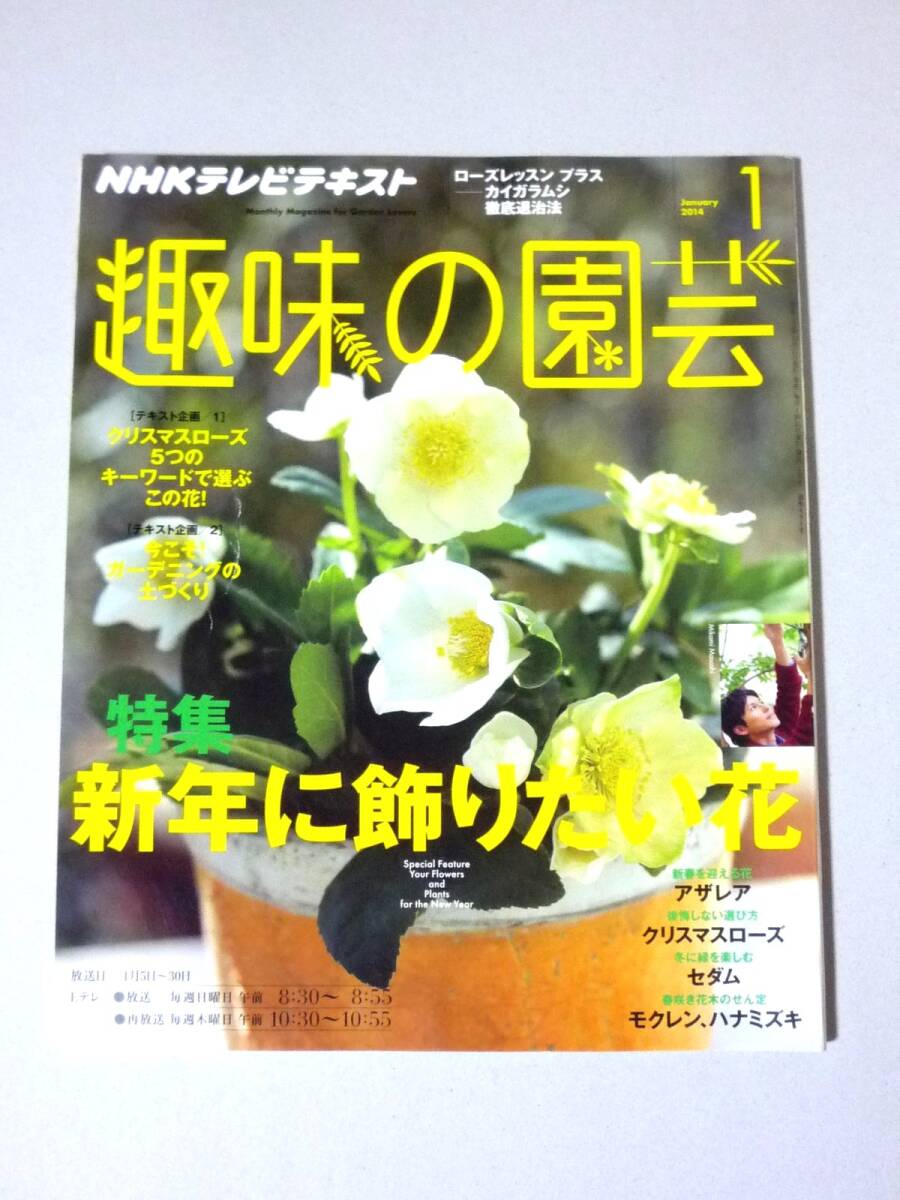 趣味の園芸 2014年1月号 新年に飾りたい花 アザレア クリスマスローズ セダム モクレン ハナミズキ　NHKテレビテキスト_画像1