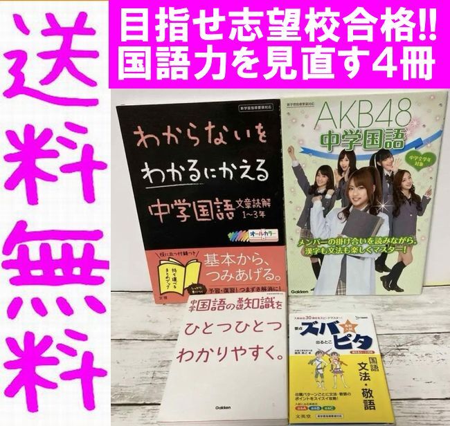 送料無料 4冊 AKB48中学国語 中学国語の基礎知識をひとつひとつわかりやすく わからないをわかるにかえる中学国語文章読解１～３年