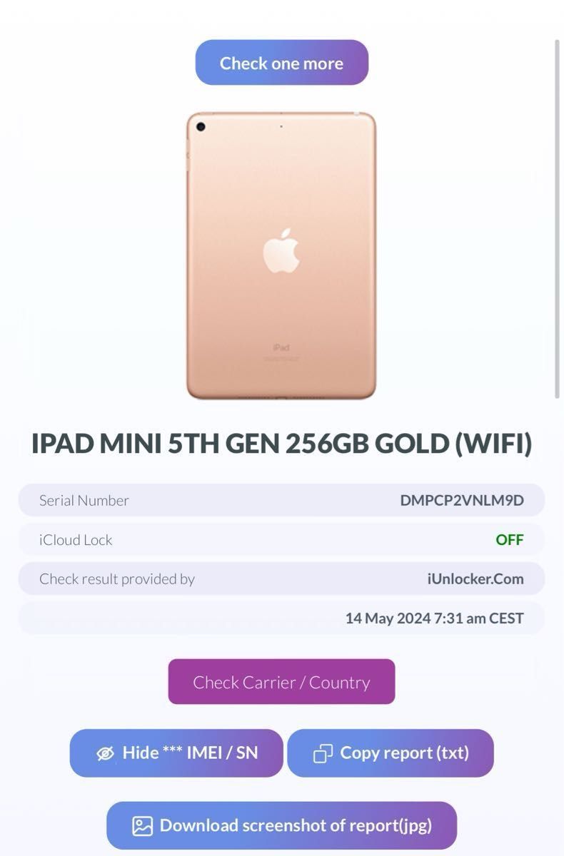 iPad mini 第5世代 WiFi  256GB 本体