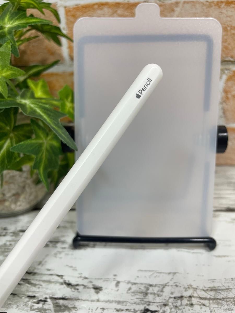 Apple Pencil 2 第2世代 第二世代 A2051  MU8F2J/A 11