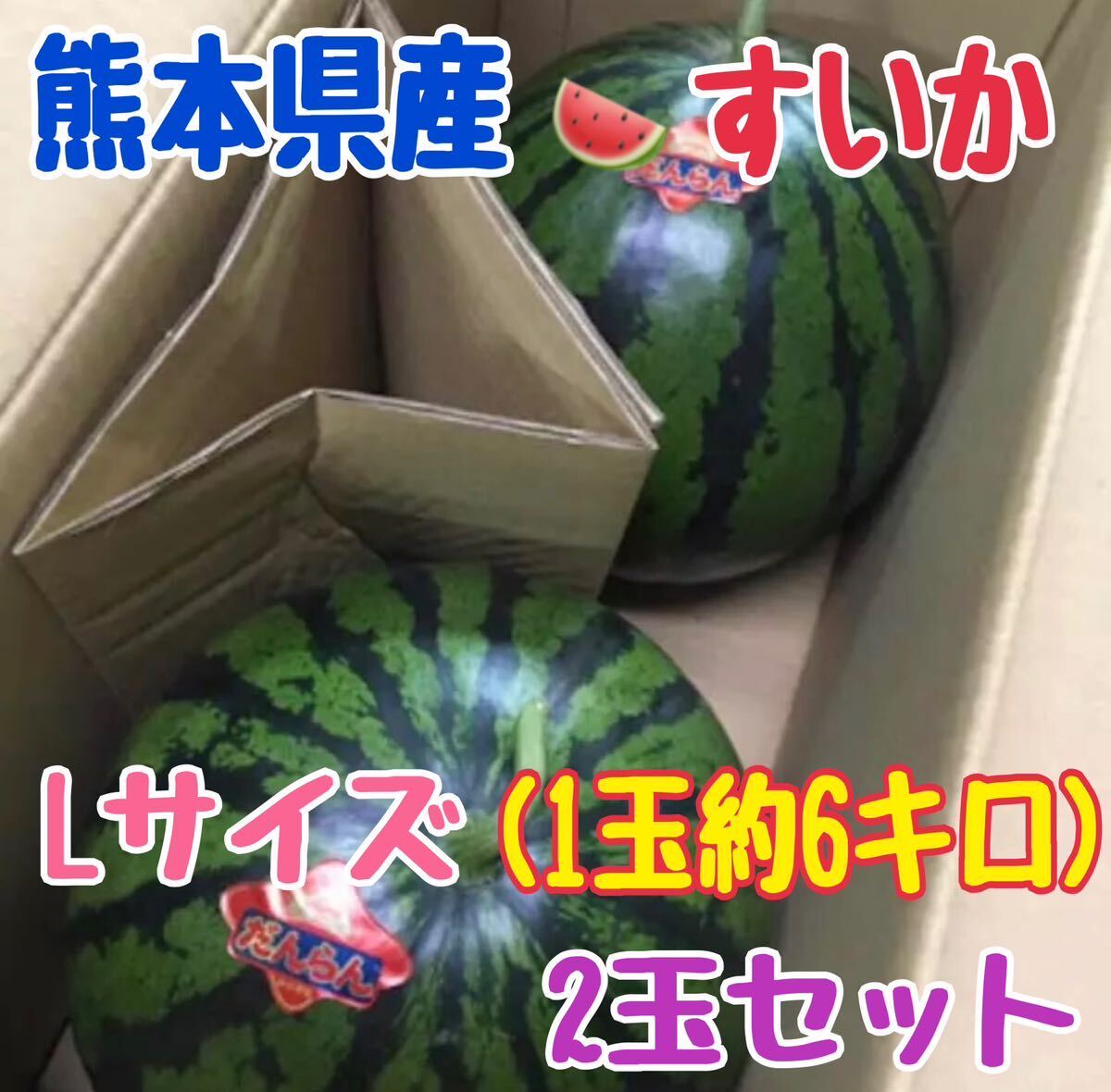 熊本県産 植木すいか Lサイズ 2玉セット♪♪_画像1