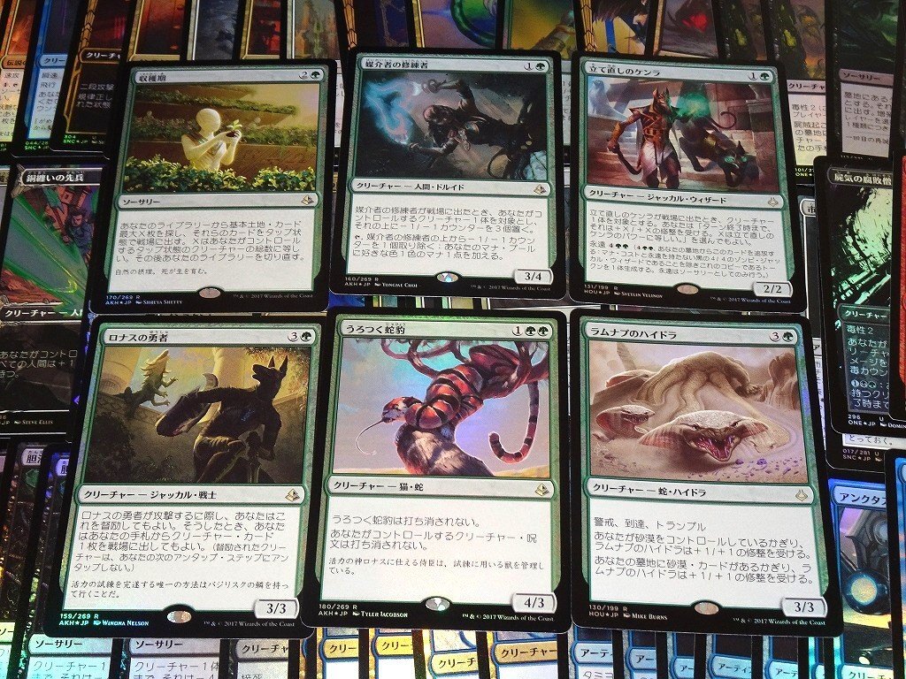 【1円スタート】FOILカードのみ/1000枚/MTGセット コレクション まとめ売り[FC] Rの画像9