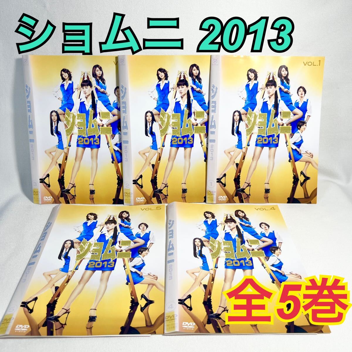 ショムニ 2013 DVD 全5巻セット 日本映画の画像1