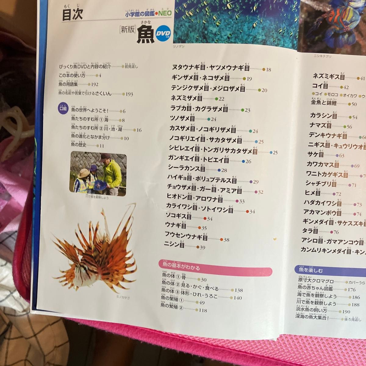 小学館の図鑑魚