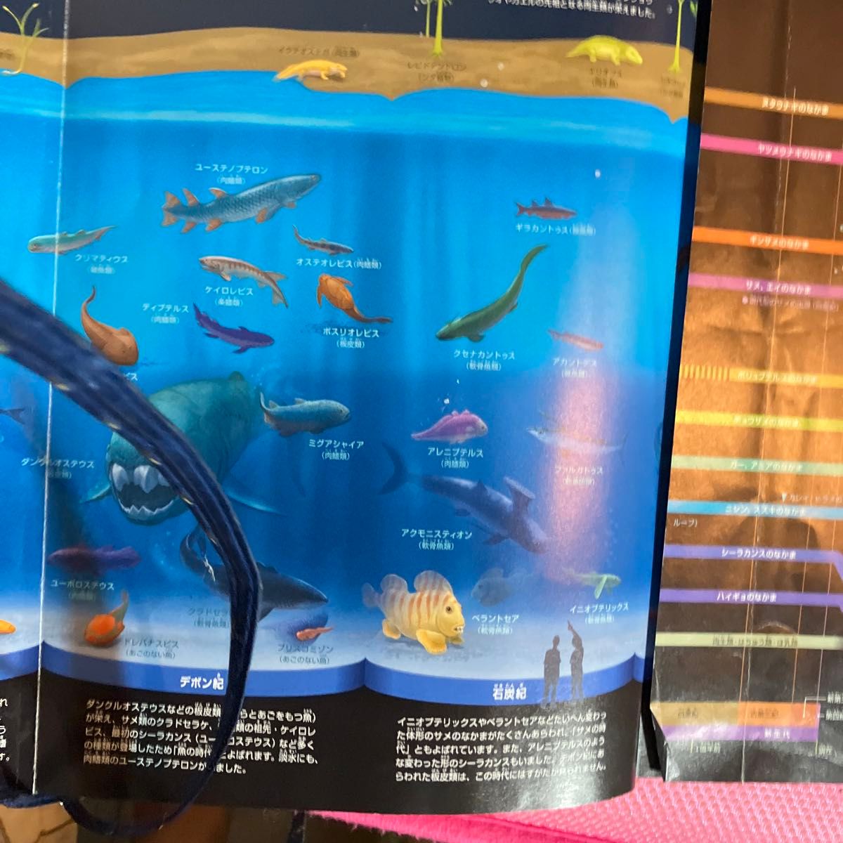 小学館の図鑑魚