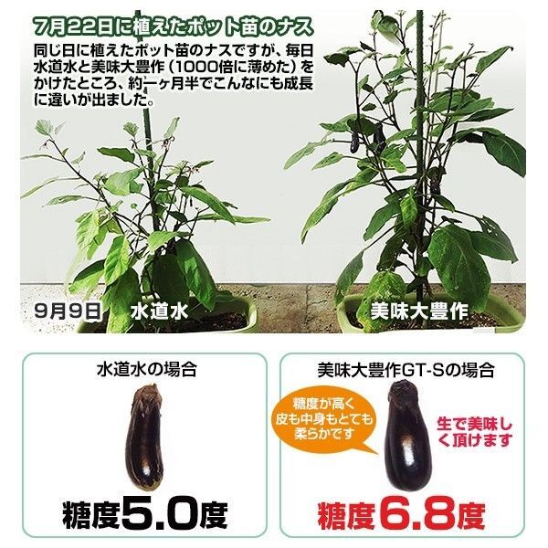 植物活力液 美味大豊作GT-S １０リットル 作物が早く大きく育ち収穫量も増加！