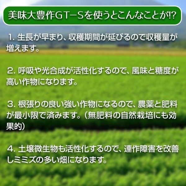 植物活力液 美味大豊作GT-S １リットル 作物が早く大きく育ち収穫量も増加！