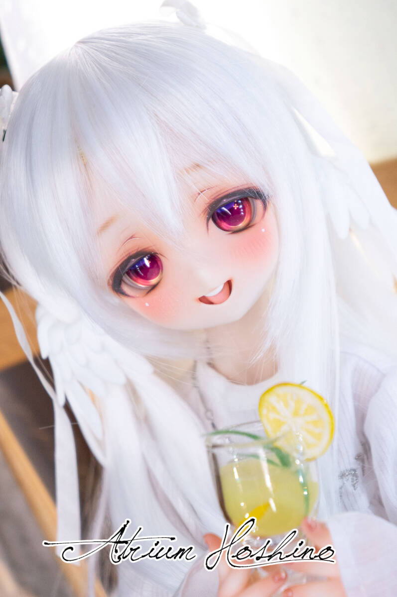 ☆Atrium Hoshino☆ DDH12 セミホワイト肌 カスタムヘッド + ☆Atrium Hoshino☆ DDH12 セミホワイト肌 カスタムヘッド +