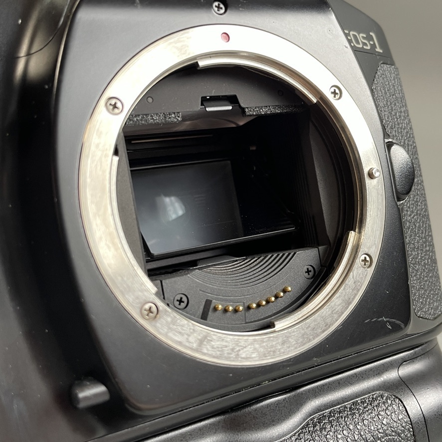 MS1117 一部動作確認 Canon キャノン EOS-1 デジタル一眼レフ ボディ ＋ BP-E1 バッテリーパック (検)カメラ ブラック デジいちの画像7