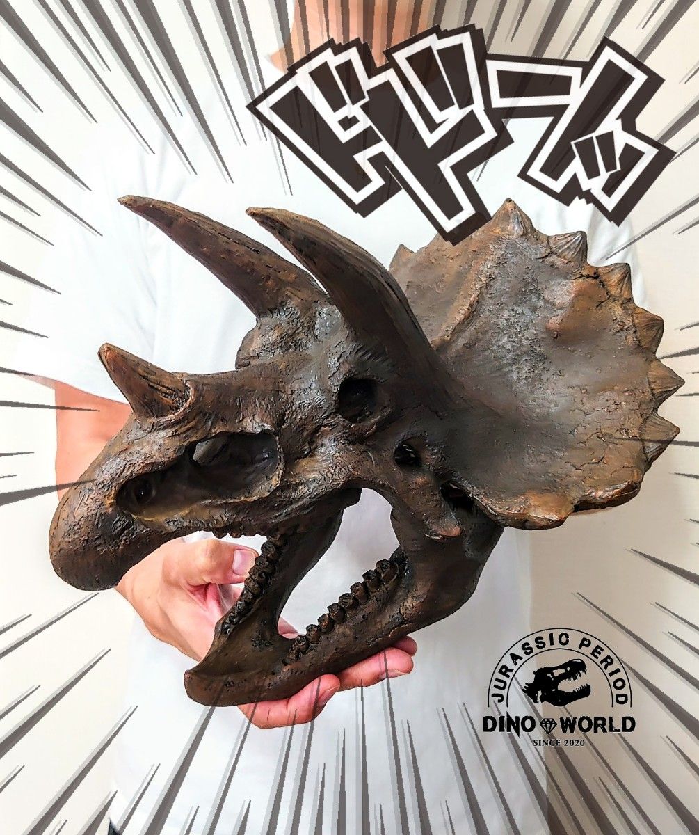 【DINOWORLD】トリケラトプス 頭骨 化石 レプリカ 恐竜 フィギュア　インテリアオブジェ ティラノサウルス