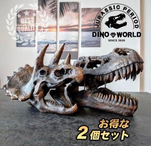お買い得 ティラノサウルス トリケラトプス 頭骨 2個セット 恐竜 お買い得 ティラノサウルス トリケラトプス 頭骨 2個セット 恐竜
