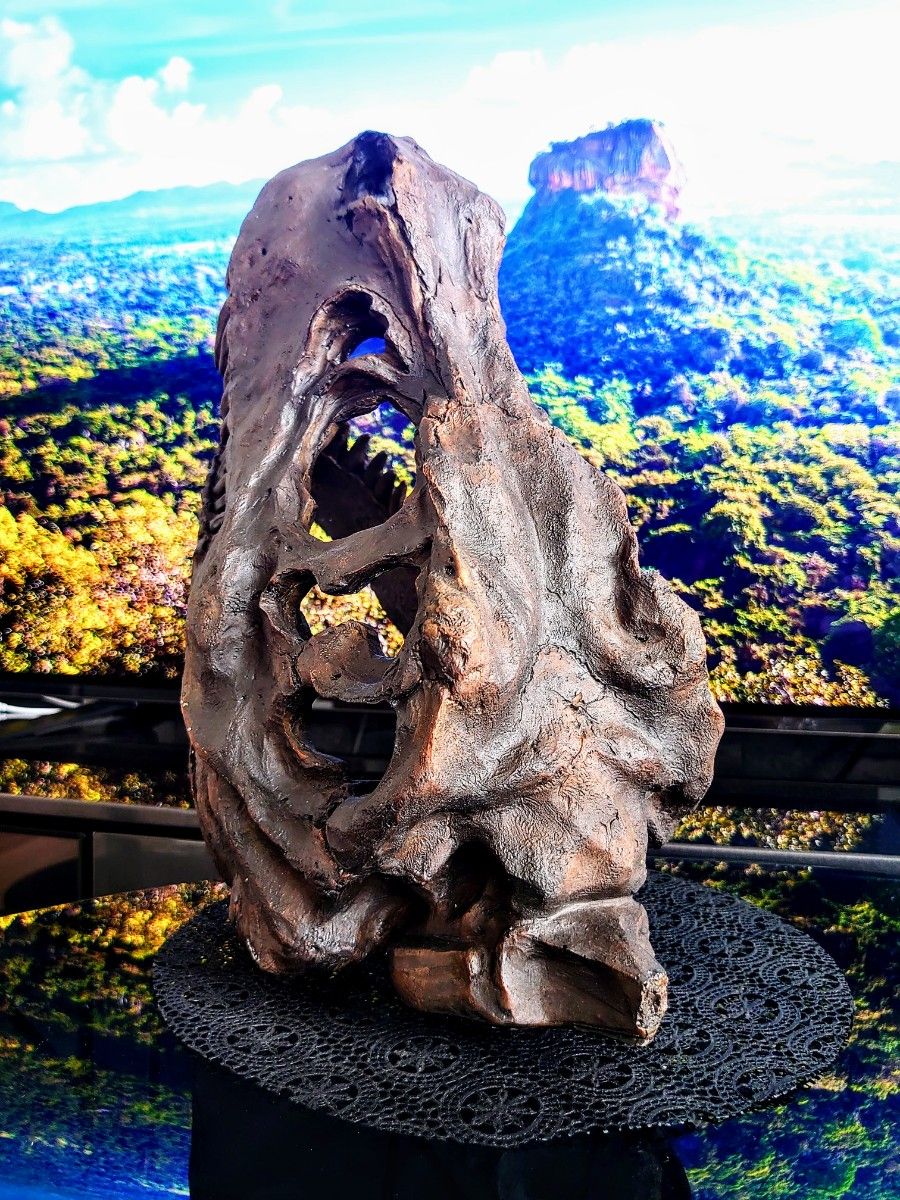 お買い得 ティラノサウルス トリケラトプス 頭骨 2個セット 恐竜 お買い得 ティラノサウルス トリケラトプス 頭骨 2個セット 恐竜