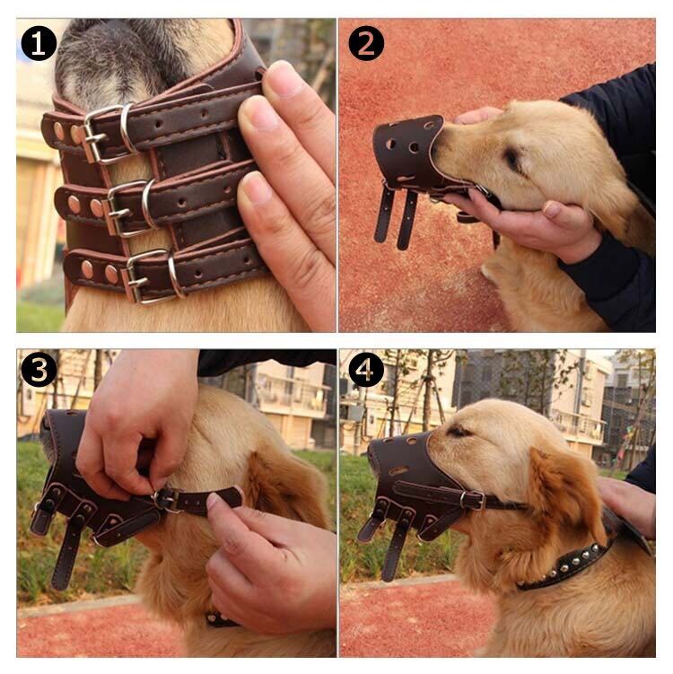  muzzle; ferrule dog leather dog for mazru adjustment possibility dog. . cover small size dog muzzle; ferrule medium sized dog muzzle; ferrule large dog muzzle; ferrule biting prevention uselessness ..M size dog muzzle; ferrule Brown 