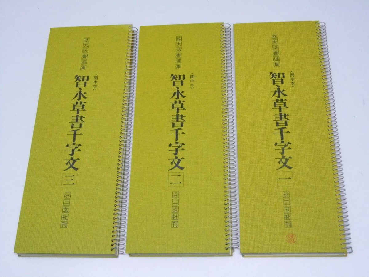 Glp_375303 拡大法書選集 29～31 智永草書千字文(関中本）1～3 渡辺隆男.発行の画像2