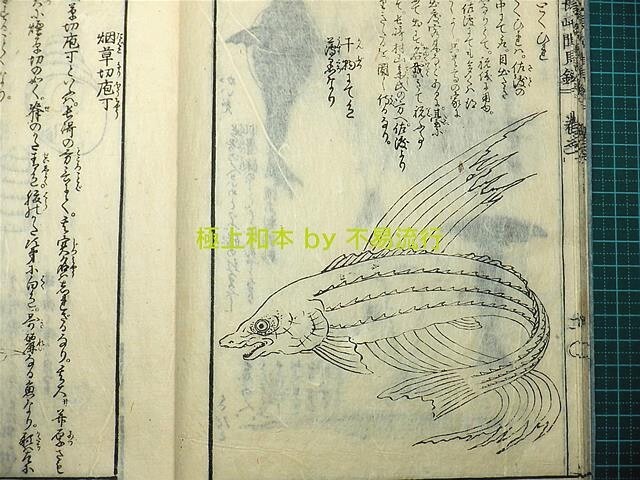 ●極上和本YM1348●長崎聞見録［長崎見聞録］　広川　長崎及び異国風俗 地誌　★ゆうパック着払い