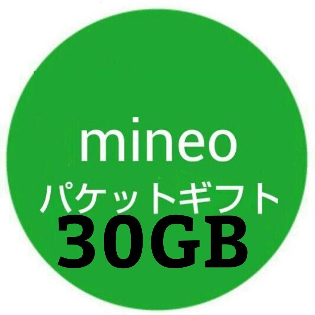 即日対応 マイネオ(mineo)パケットギフト 30GB 30000MB _画像1