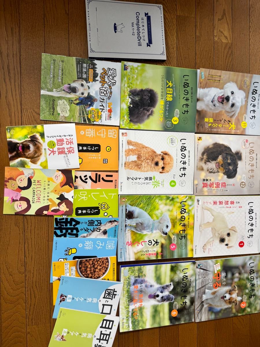 いぬのきもち　2022.7〜2023.6 １２冊＋付録