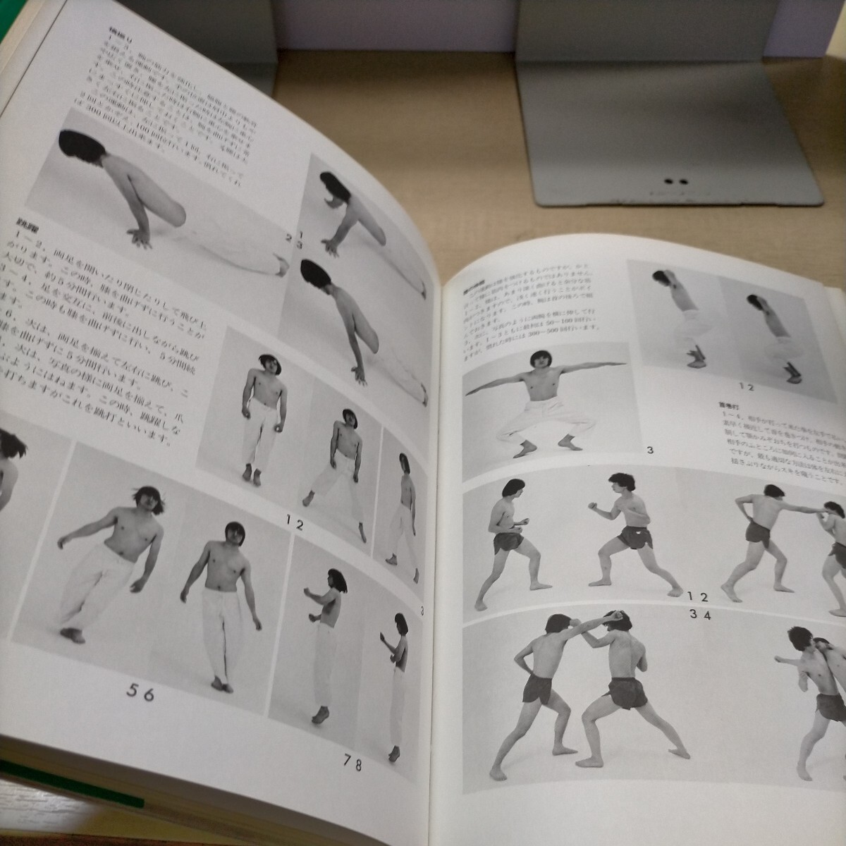 秘武道 借力拳法その思想と技法 力拔山 日貿出版社 空手 格闘技 1982年△古本/経年劣化による傷み有/ノークレームでの画像8