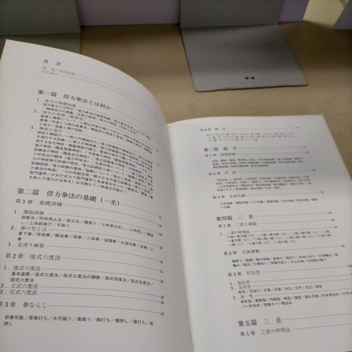 秘武道 借力拳法その思想と技法 力拔山 日貿出版社 空手 格闘技 1982年△古本/経年劣化による傷み有/ノークレームでの画像9