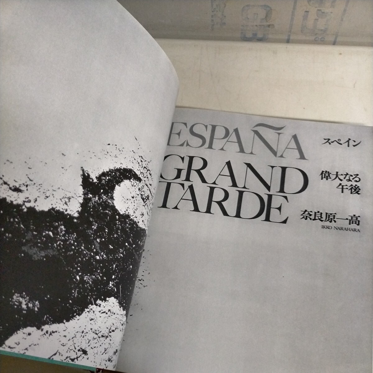 スペイン偉大なる午後 奈良原一高 別冊 約束の旅 Ikko Narahara 求龍堂 1969年△古本/ヤケスレ傷み有/写真集_画像5