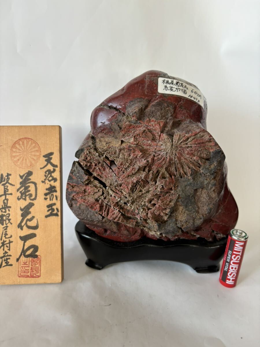 【 店じまい半額セール】 根尾菊花石　朱色母岩菊花石　サバ赤玉2輪菊花石　稀少品　顕屏　特別天然記念物　天然石　観賞石　置物　自然石_画像1