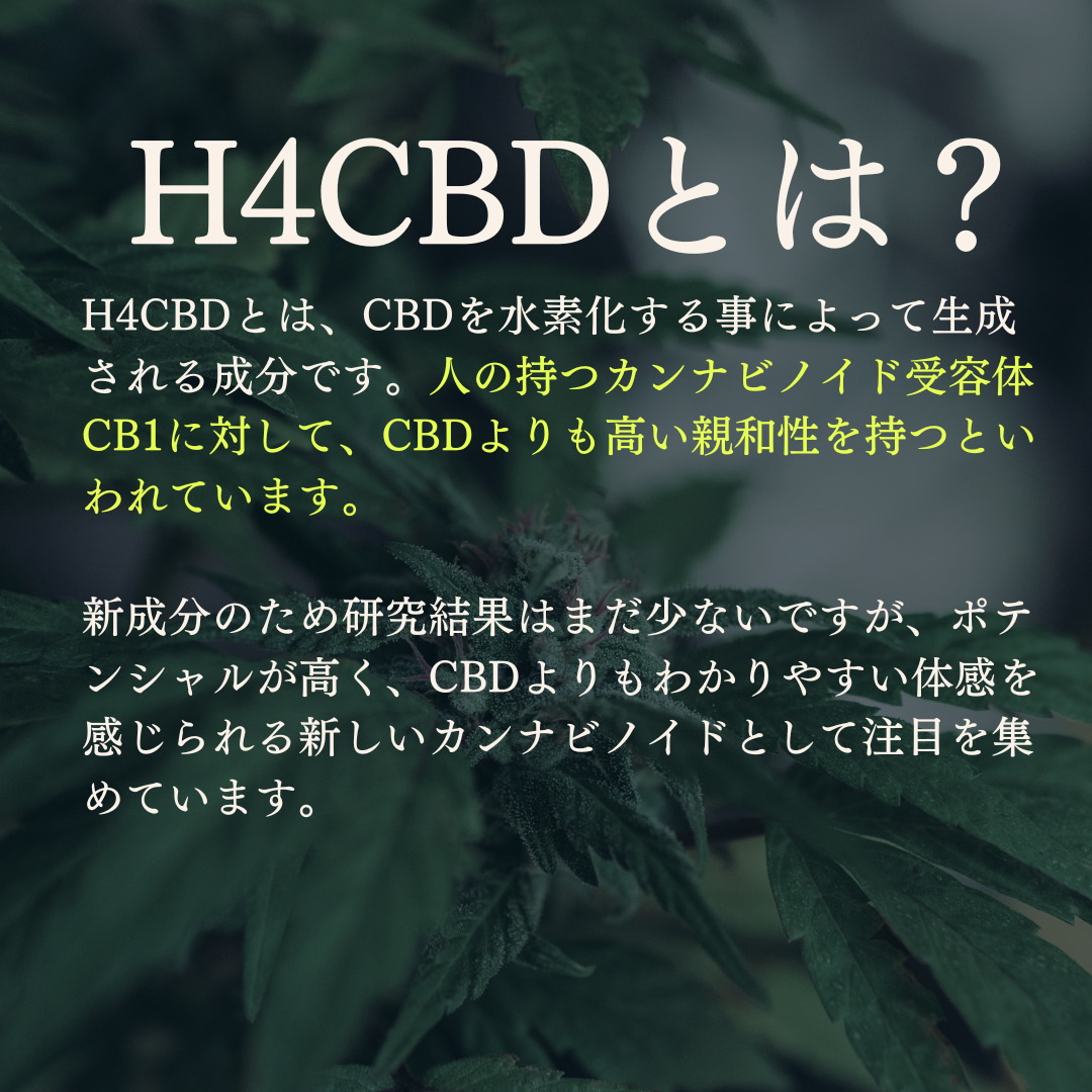 H4CBD配合 高濃度 80% Jack Herer 0.5ml CBD CBG リキッド