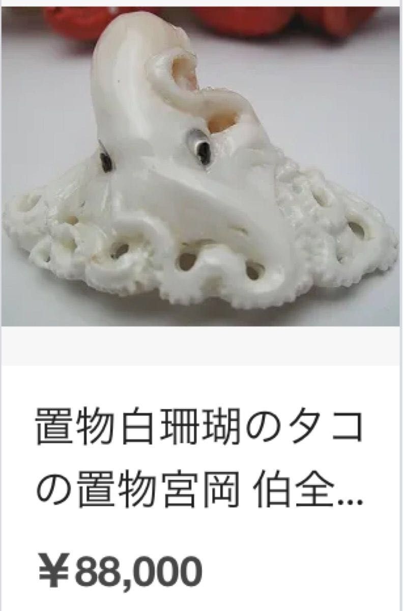 天然　色珊瑚　(深海) 東シナ海　34.2g. 171ct