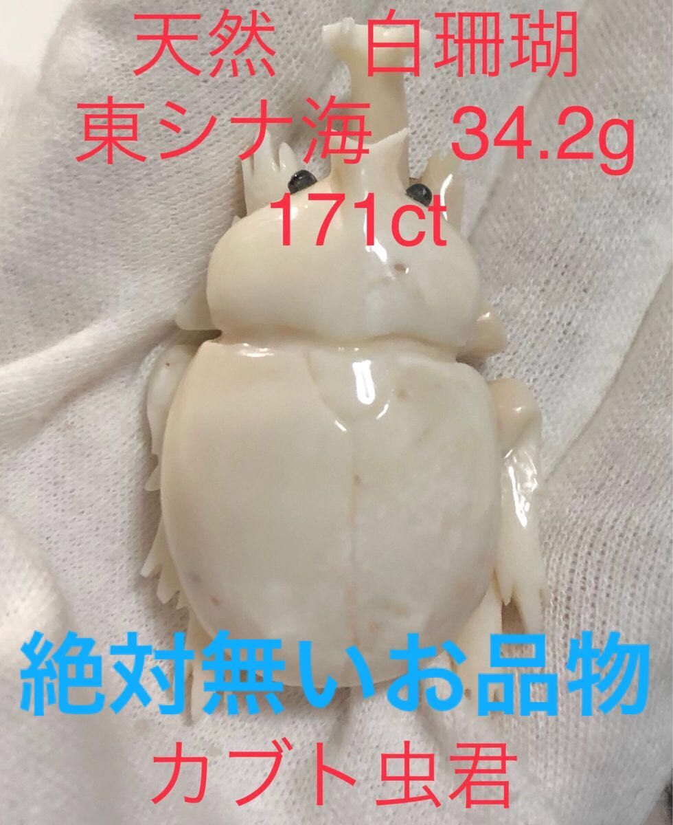 天然　色珊瑚　(深海) 東シナ海　34.2g. 171ct