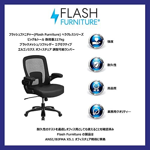 フラッシュファニチャー(Flash Furniture) ヘラクレスシリーズ ビッグ&トール エグゼクティブ オフィスチェア ブラ 重量制限227kg_画像2