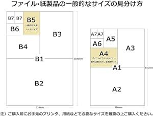 プラス クリアファイル クリアホルダー E A4 100枚 0.18mm 透明 (乳白)クリアー FL-270HO 88-13_画像6