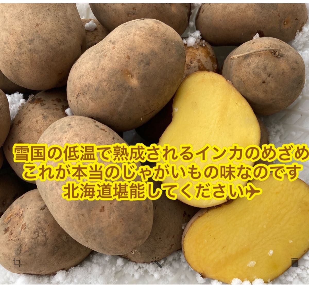 北海道2024年【超熟成！十勝幕別産濃い味インカのめざめL玉（大中）希少な大玉】約3Kg 北海道より常温発送