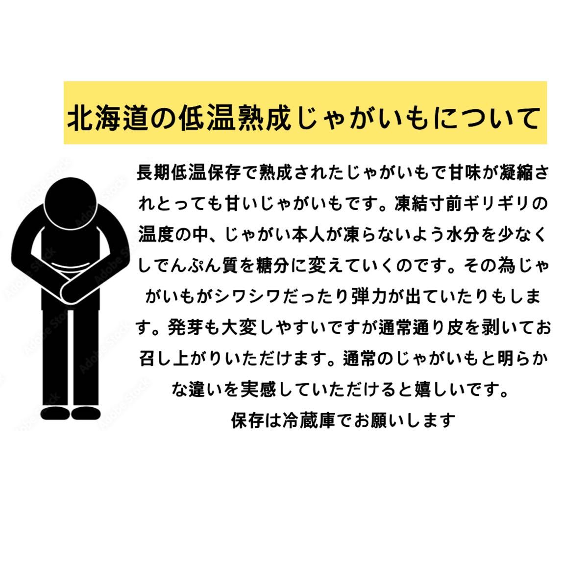 北海道2024年【超熟成十勝幕別産インカのめざめM玉〔中小〕】約900g 北海道より常温発送