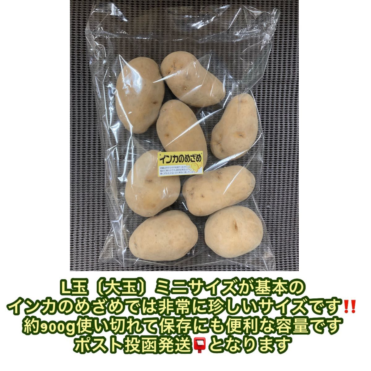 北海道2024年【超熟成濃い味十勝幕別産インカのめざめL玉〔大中〕希少な大玉】約900g 北海道より常温発送