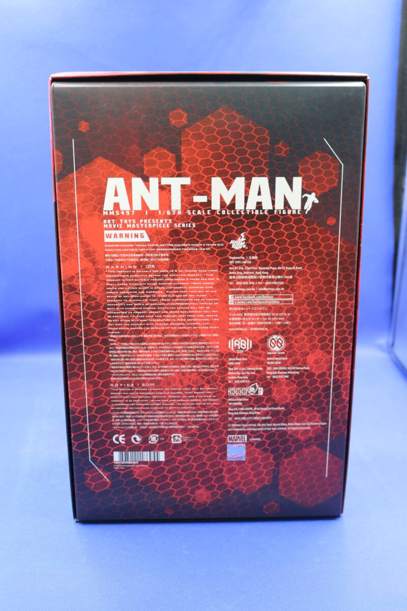 29-7 [ present condition goods ] hot toys Movie * master-piece 1/6 Anne to man Anne to man &wasp