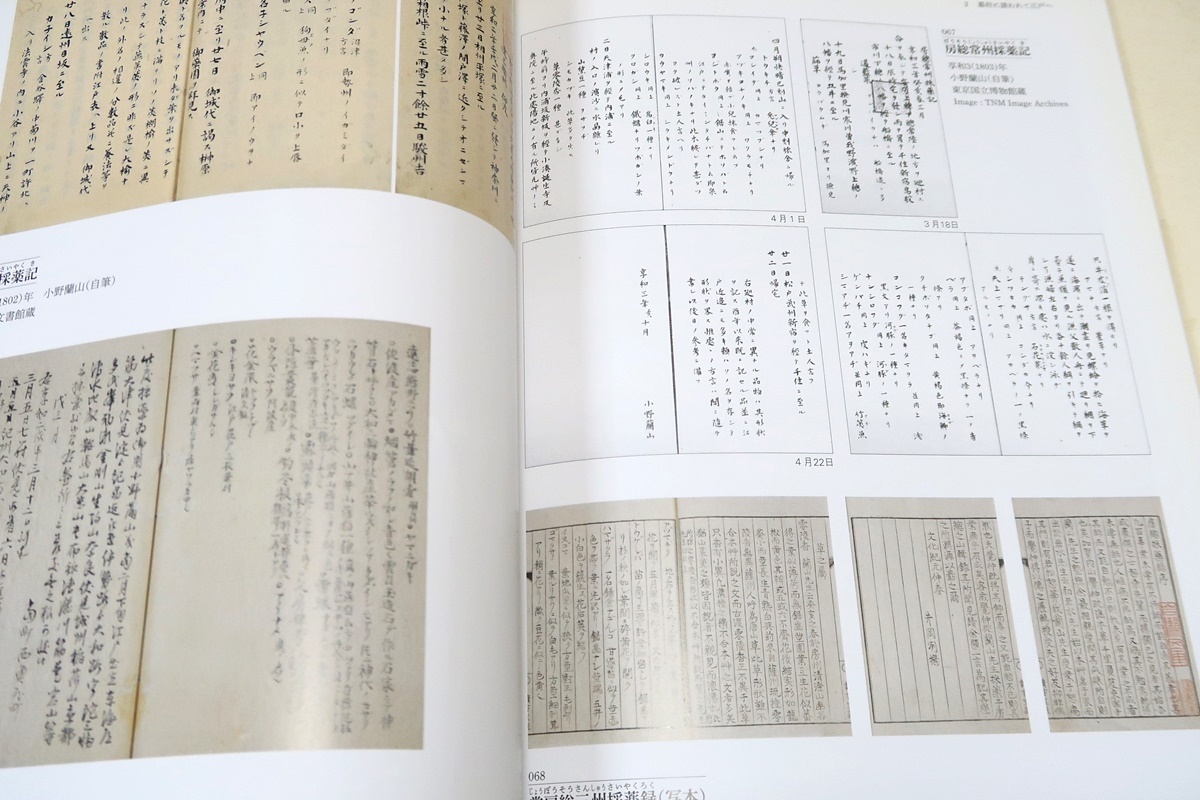 江戸時代の百科事始・本草学者・小野蘭山の世界/本草学の大家である蘭山の業績を中心に江戸時代の本草学について紹介・本草綱目啓蒙の著者_画像9