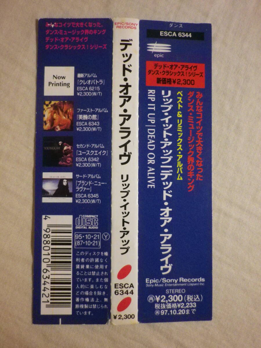 『Dead Or Alive/Rip It Up(1987)』(1995年発売,ESCA-6344,廃盤,国内盤帯付,歌詞対訳付,リミックス・アルバム,80's,Dance,Pop,UK)_画像4