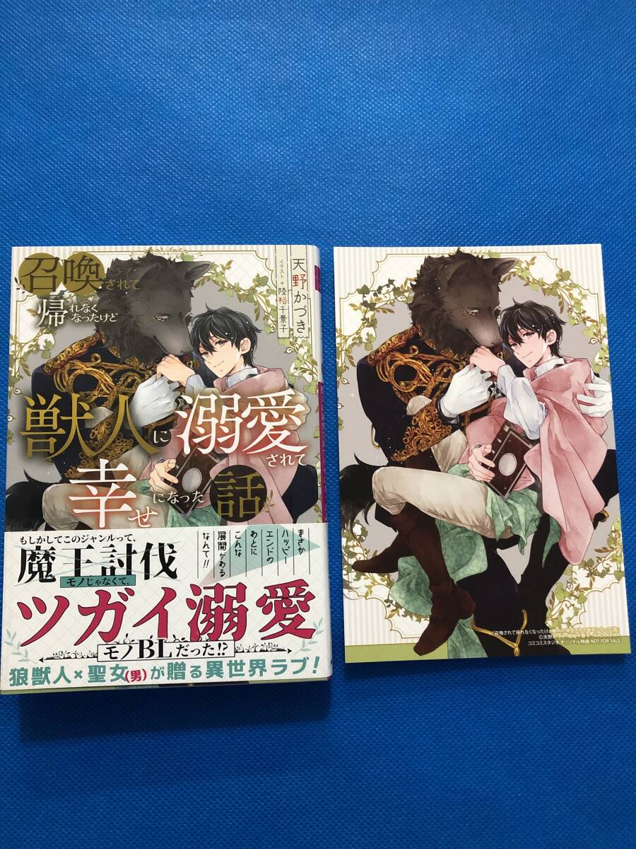 ☆召喚されて帰れなくなったけど獣人に溺愛されて幸せになった話【C付】☆天野かづき/陸裕千景子_画像1