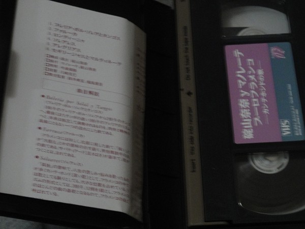 VHSビデオ　碇山奈奈 y マノレーテ プーロフラメンコ 　カンテホンドの歌　_画像3