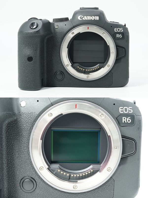 M0531[ full size ]CANON Canon EOS R6 body 