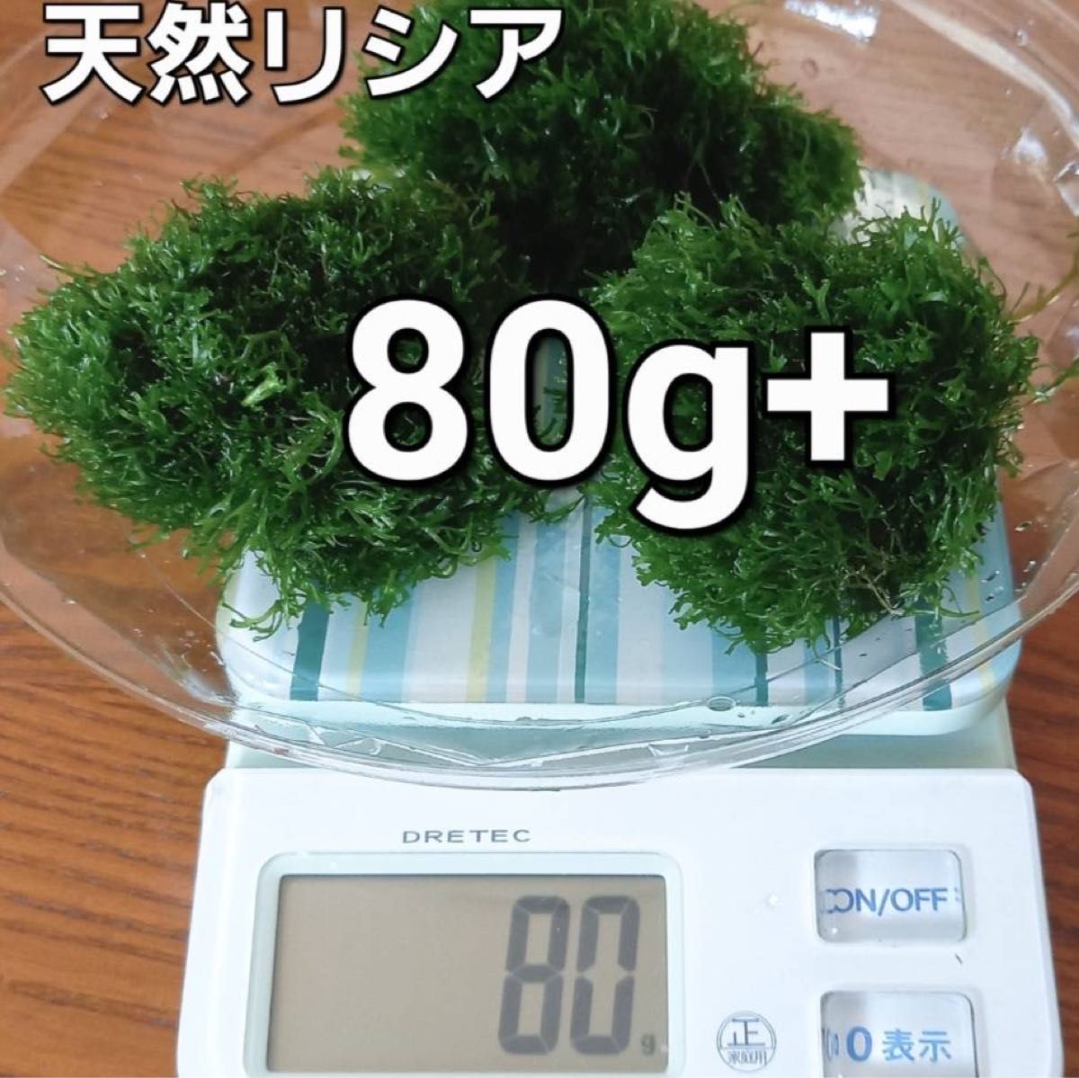 天然リシア 　80g+10g　おまけでアマゾンフロッグピット　おまけアカウキクサ　 水草  メダカ  アクアリウム 熱帯魚 