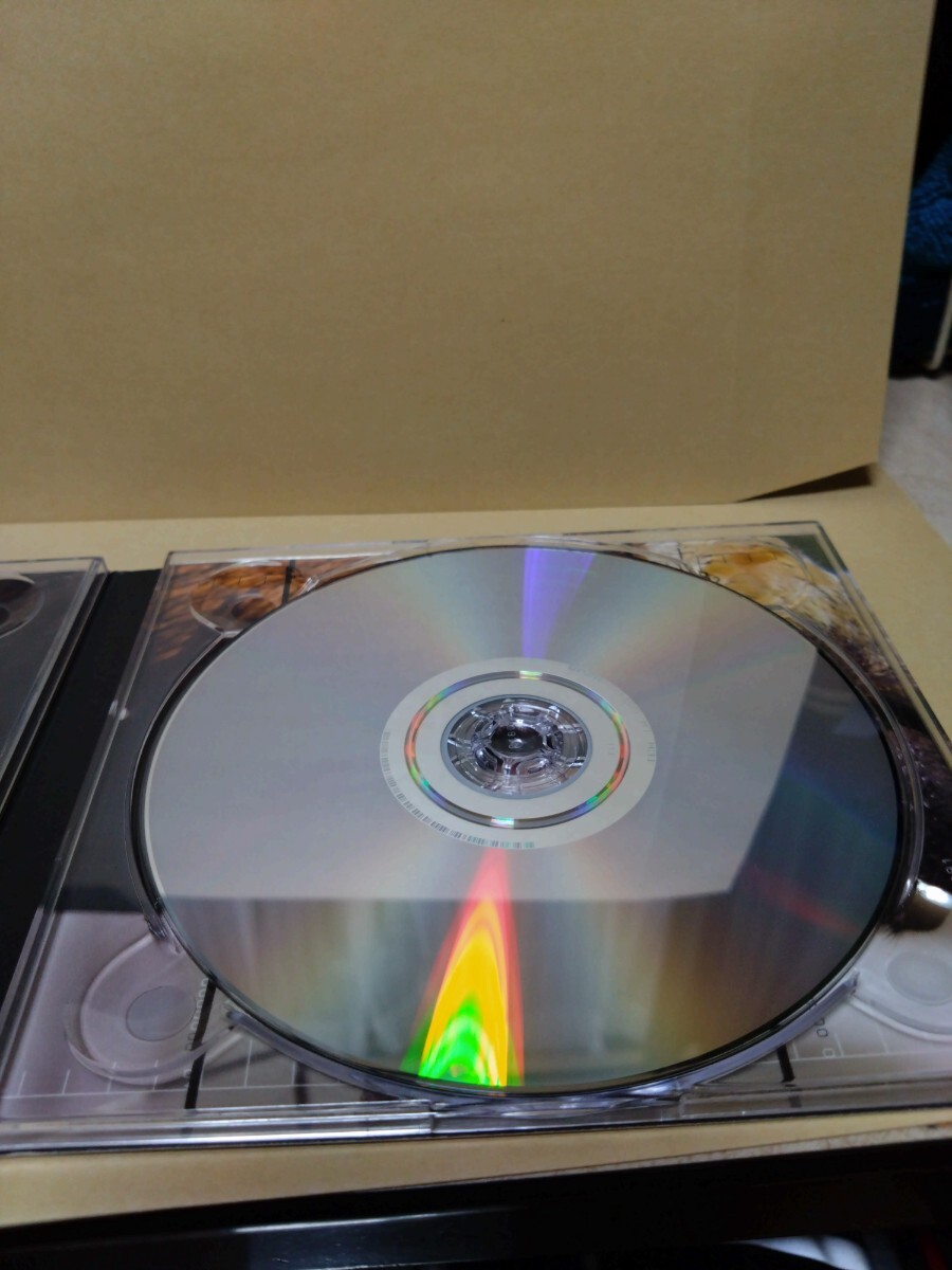スリップノット アイオワ 10thアニバーサリーエディション アルバム CD サンプル 帯付 DVDの画像7