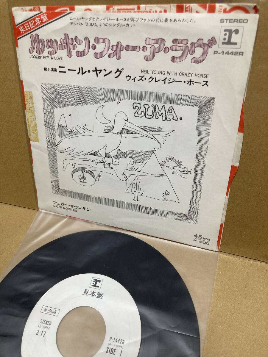 PROMO！美盤7''！ニール・ヤング Neil Young With Crazy Horse / Lookin' For A Love Warner P-1442R 見本盤 ZUMA SAMPLE 1976 JAPAN NM_画像1