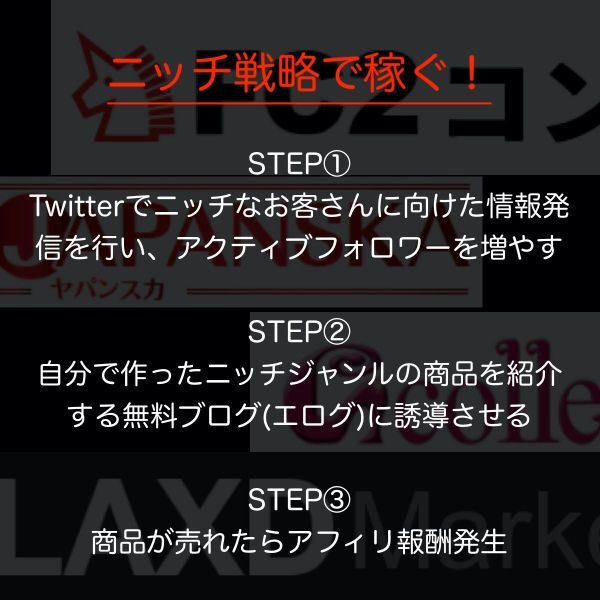 【マジで月収100万円稼ぐための副業戦略】ニッチジャンルを狙ったアダル●ビジネスX(Twitter)×ブログを使った入金システムの作り方_画像2