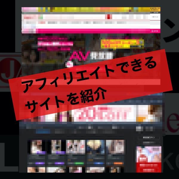 【ドル箱ビジネス】インスタ、Youtube、TikTokで大量拡散！合法的にアダルトコンテンツをアフィリエイトする方法 /ブログ,副業,在宅勤務_画像9