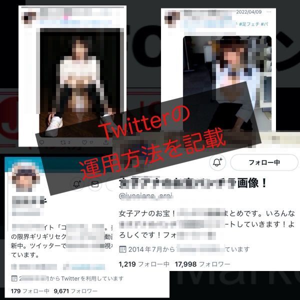 【マジで月収100万円稼ぐための副業戦略】ニッチジャンルを狙ったアダル●ビジネスX(Twitter)×ブログを使った入金システムの作り方_画像7