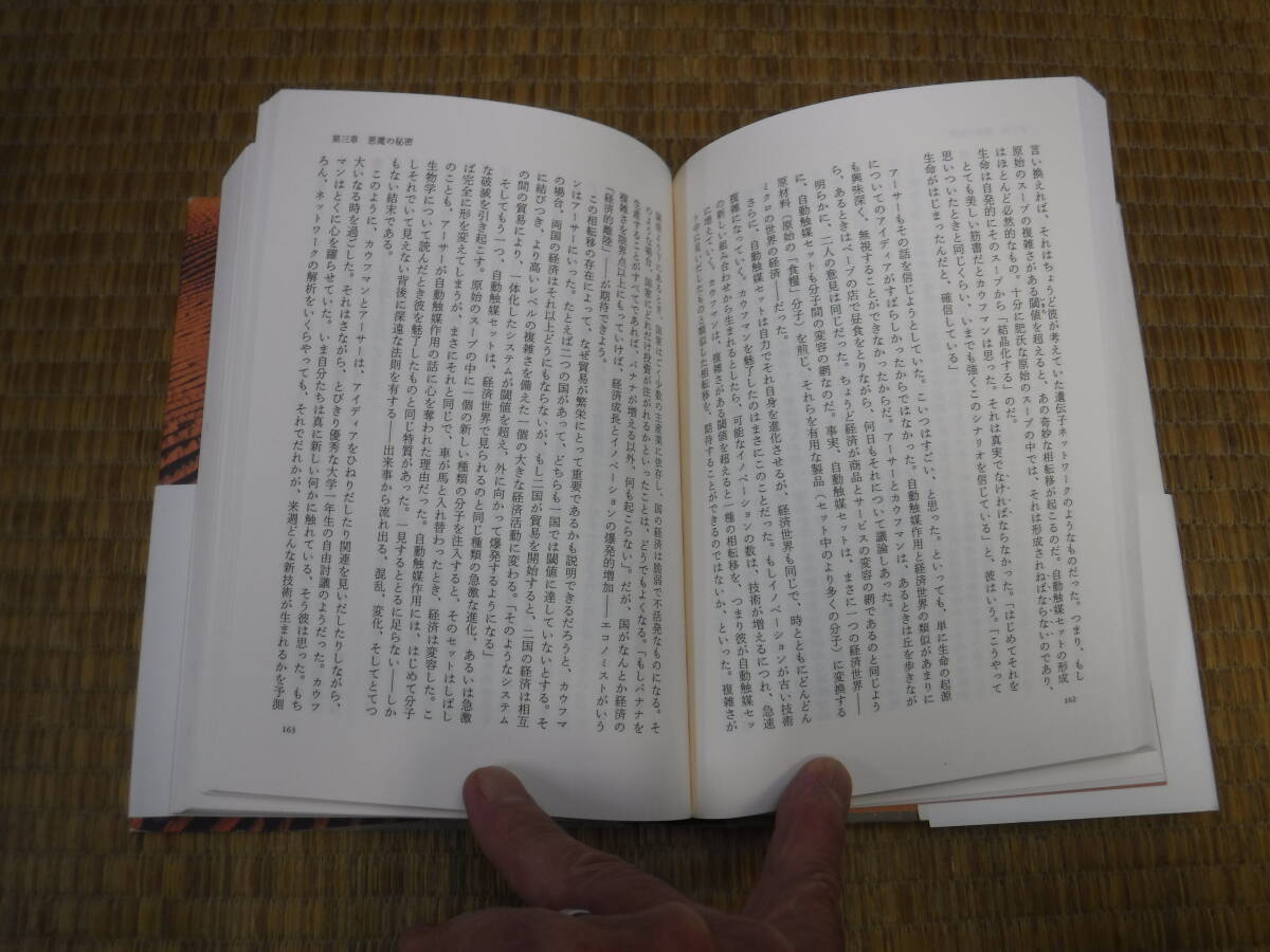 複雑系　生命現象から政治、経済までを統合する知の革命　M.ミッチェル・ワールドロップ　新潮社_画像6