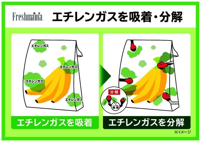  フレッシュママ　 Freshmama ・野菜 果物 青果 生花 食品 保存袋  ２箱セット